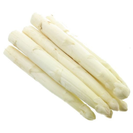 BIO ASPERGE BLANCHE 8X500G